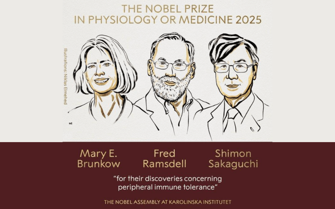 Lääketieteen Nobel-palkinnot 2025 – täsmähoitoja immuunitauteihin ja syöpään?